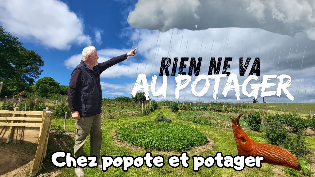 C'EST LE DESASTRE DANS LE POTAGER !!!