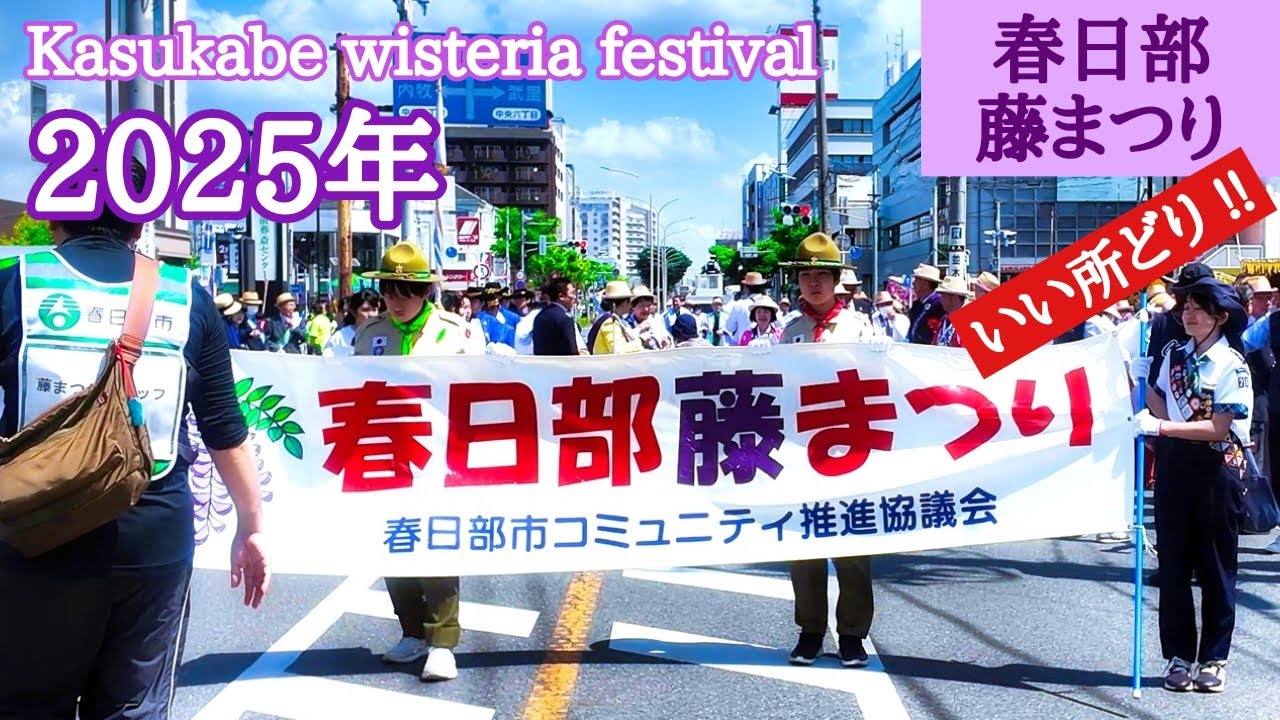 【春日部藤まつり2025】良い所どり！！「よさこい・阿波踊り・パレード・キッズダンス・和太鼓・吹奏楽・カントリー」 4月27日 festival japan kasukabe japan