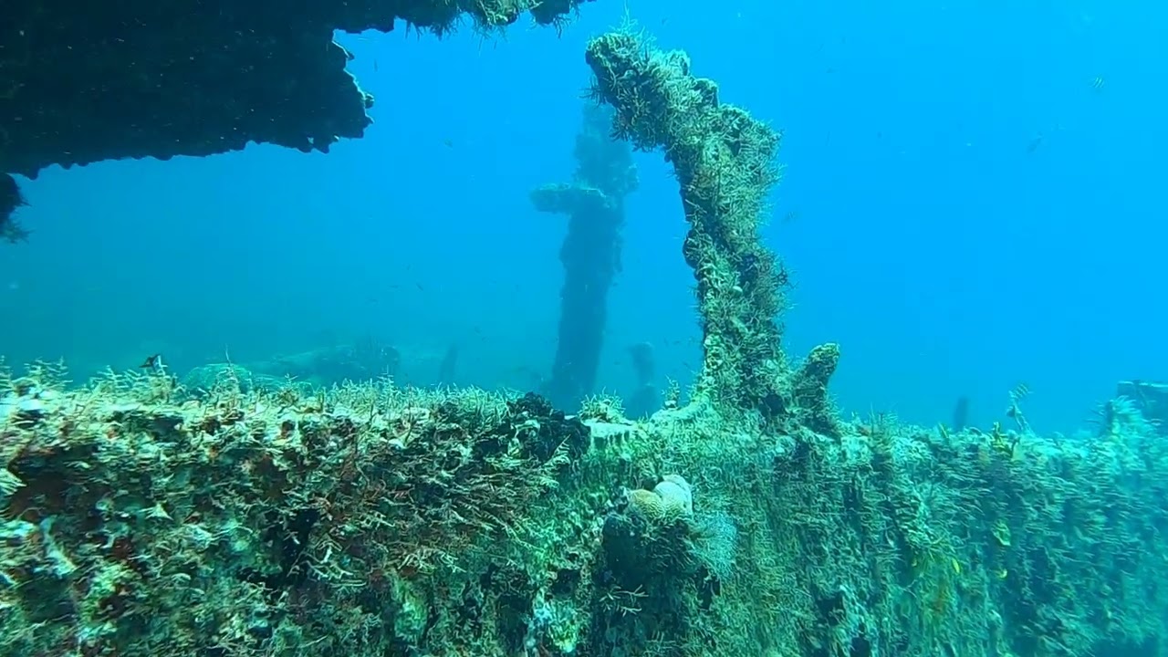 St. Kitts - Scuba Diving - River Taw - June 8, 2025