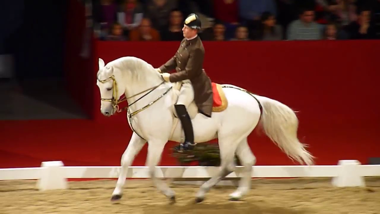 The Spanish Riding School of Vienna