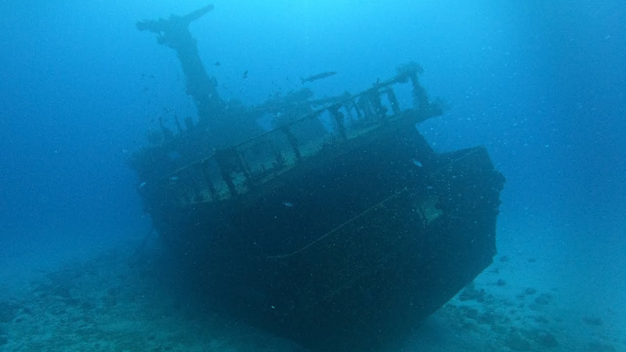Playa del Carmen - Mama Vina Wreck Dive | 4k