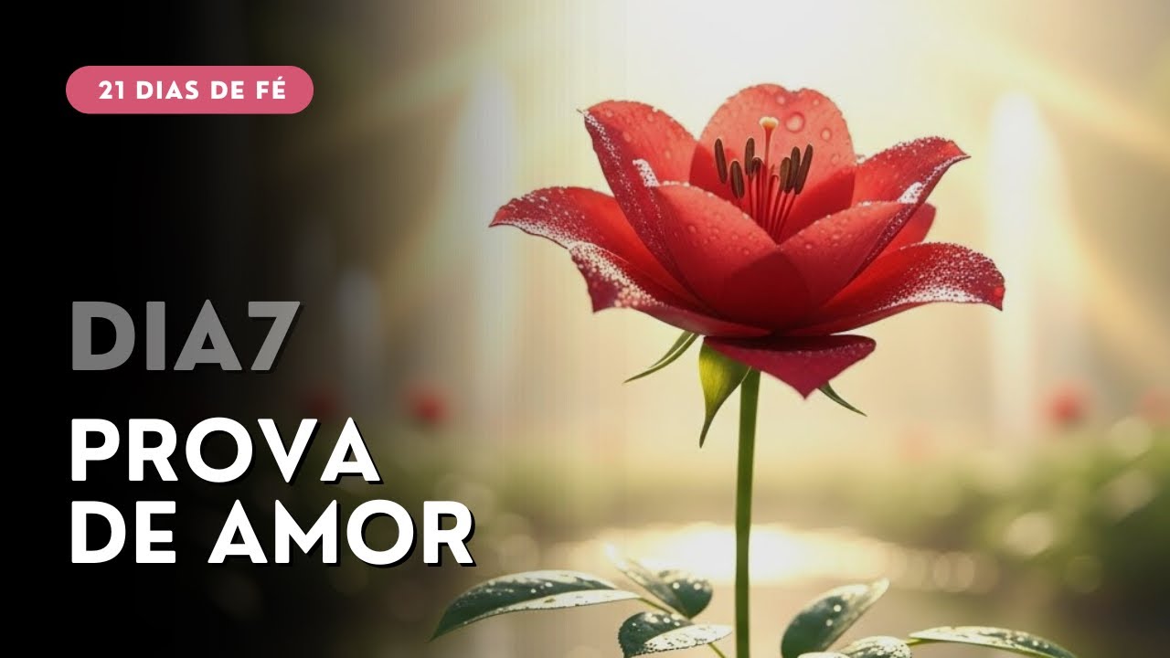 A Verdade na Cruz que Vai Curar a Tua Solidão HOJE