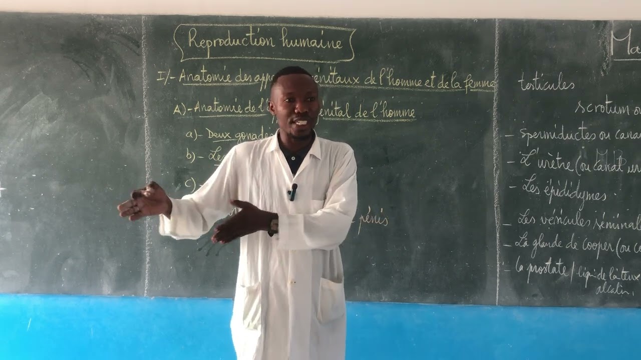 Reproduction humaine partie 1