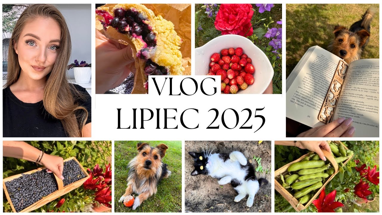 VLOG || LIPIEC 2025