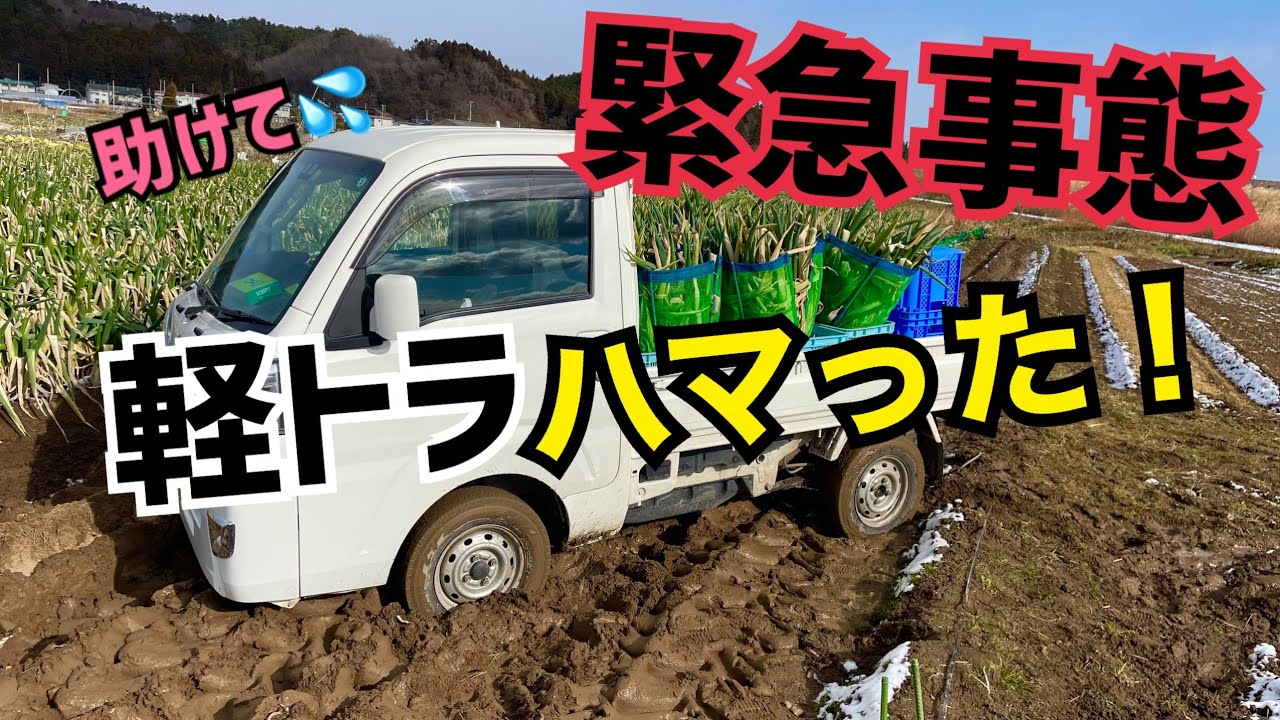 [脱出不可?]どうしよう！ネギ収穫しようとしたら軽トラハマった！誰か助けてください！TOYOTA PIXIS,MITSUBISHI MT52
