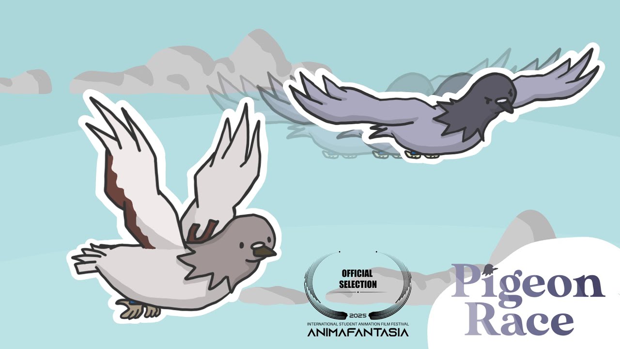 Pigeon Race | Animated Short Film