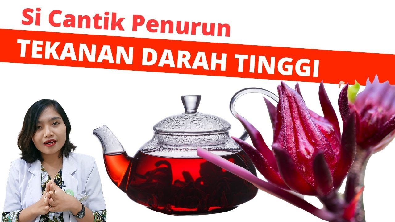 10 MANFAAT & BAHAYA TEH  BUNGA ROSELLA UNTUK KESEHATAN | dr.Emasuperr