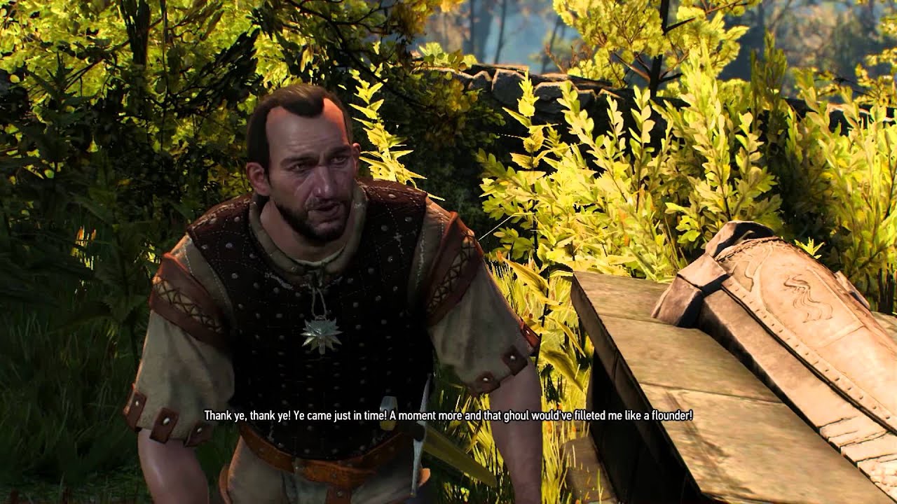 The Witcher 3 - 