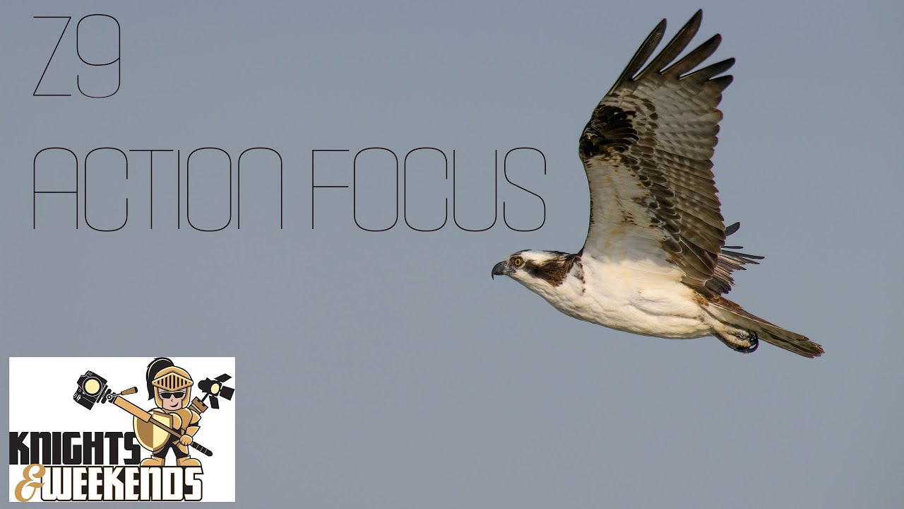 Nikon Z9 Autofocus for Birds and Action