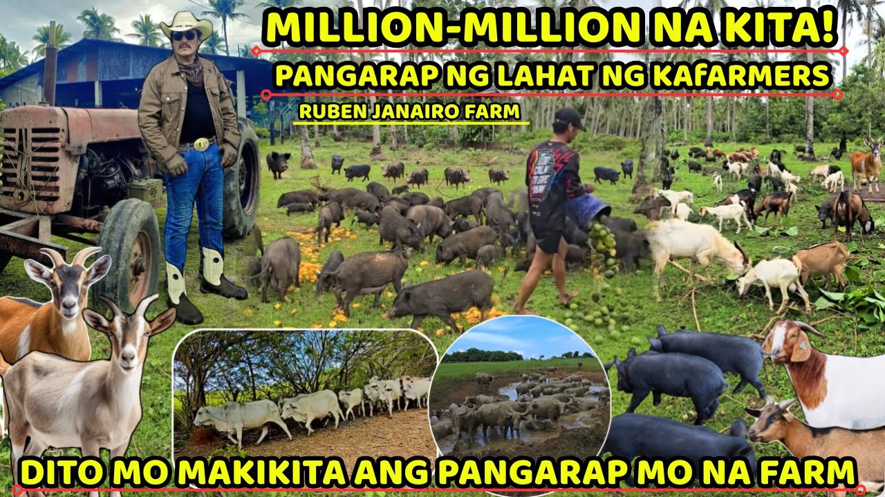 MILLION-MILLION NA KITA - SUCCESSFUL FARM BUSINESS | PANGARAP NG LAHAT NG KAFARMERS!
