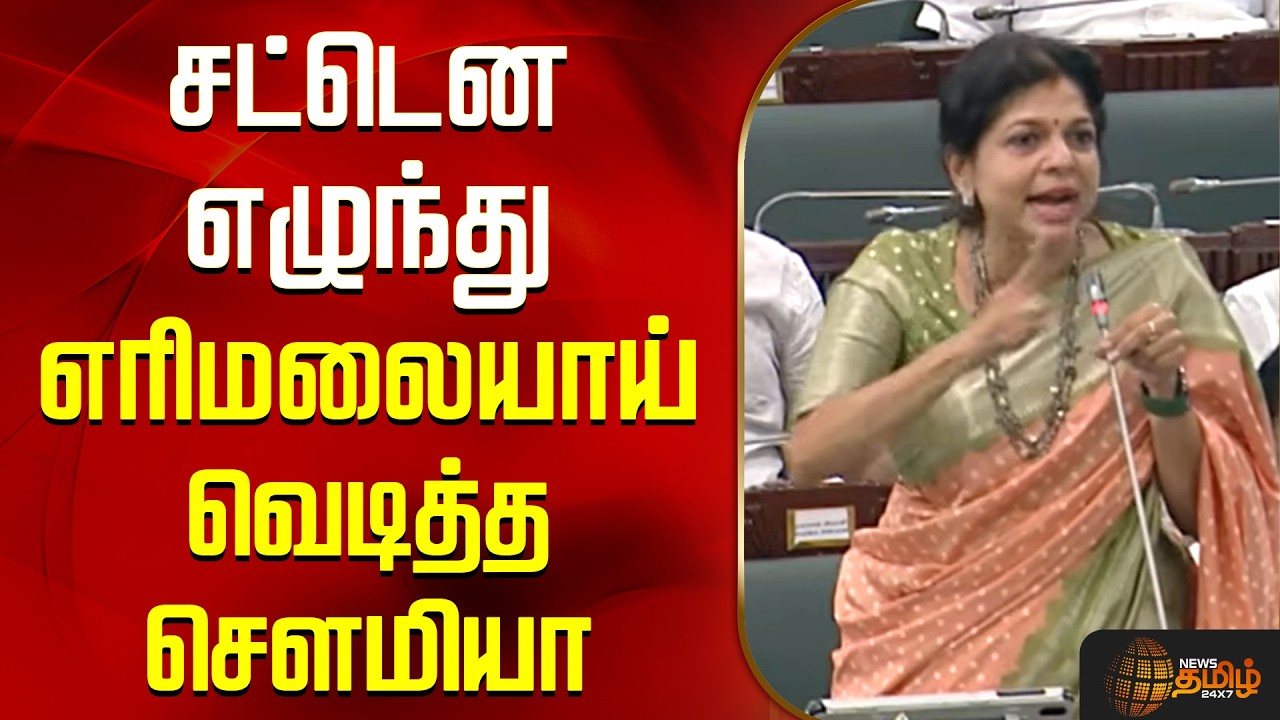 Sowmiya Anbumani | ''மனசாட்சியே இல்ல..!'' - சட்டென எழுந்து எரிமலையாய் வெடித்த சௌமியா அன்புமணி