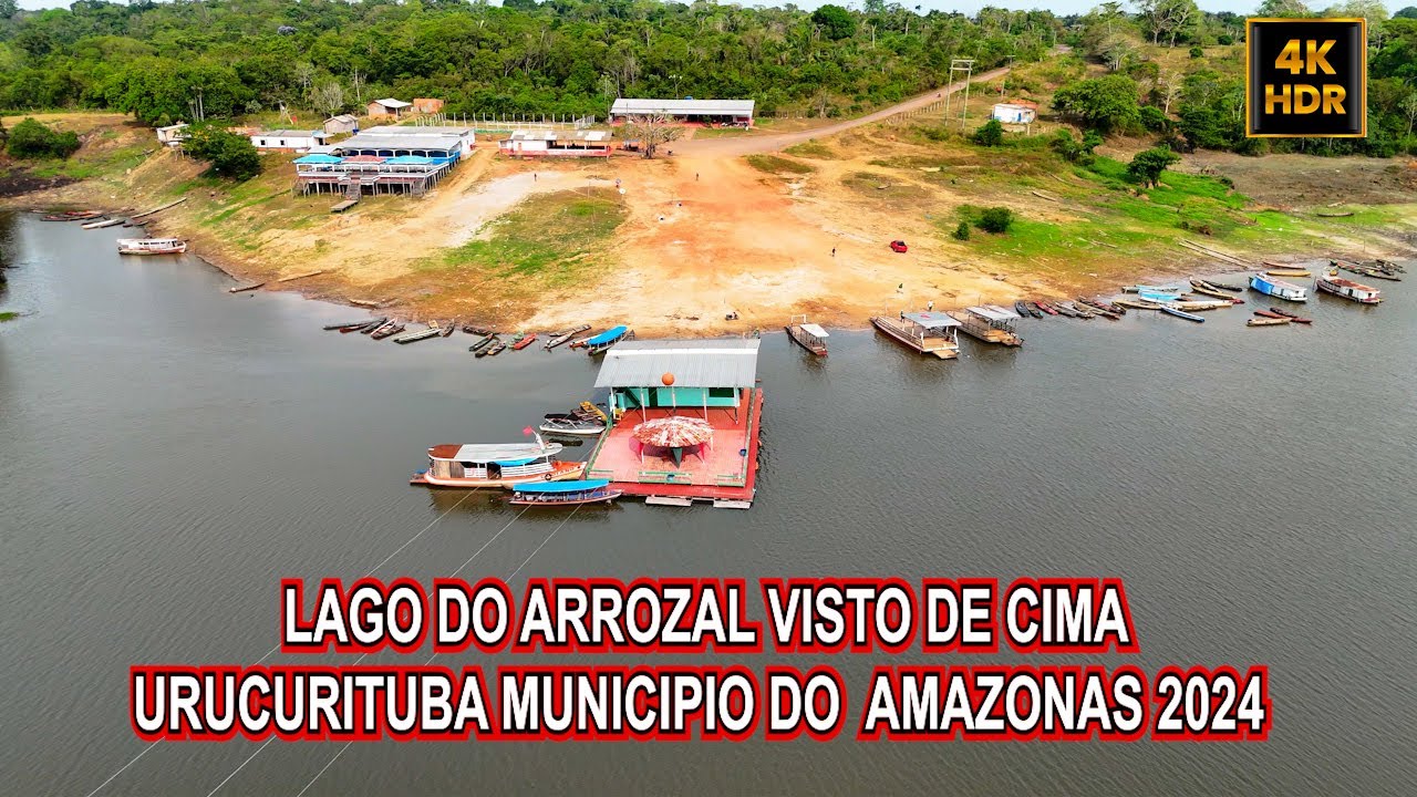 Você Sabia Que O ARROZAL DE URUCURITUBA AMAZONAS É ÚNICO?