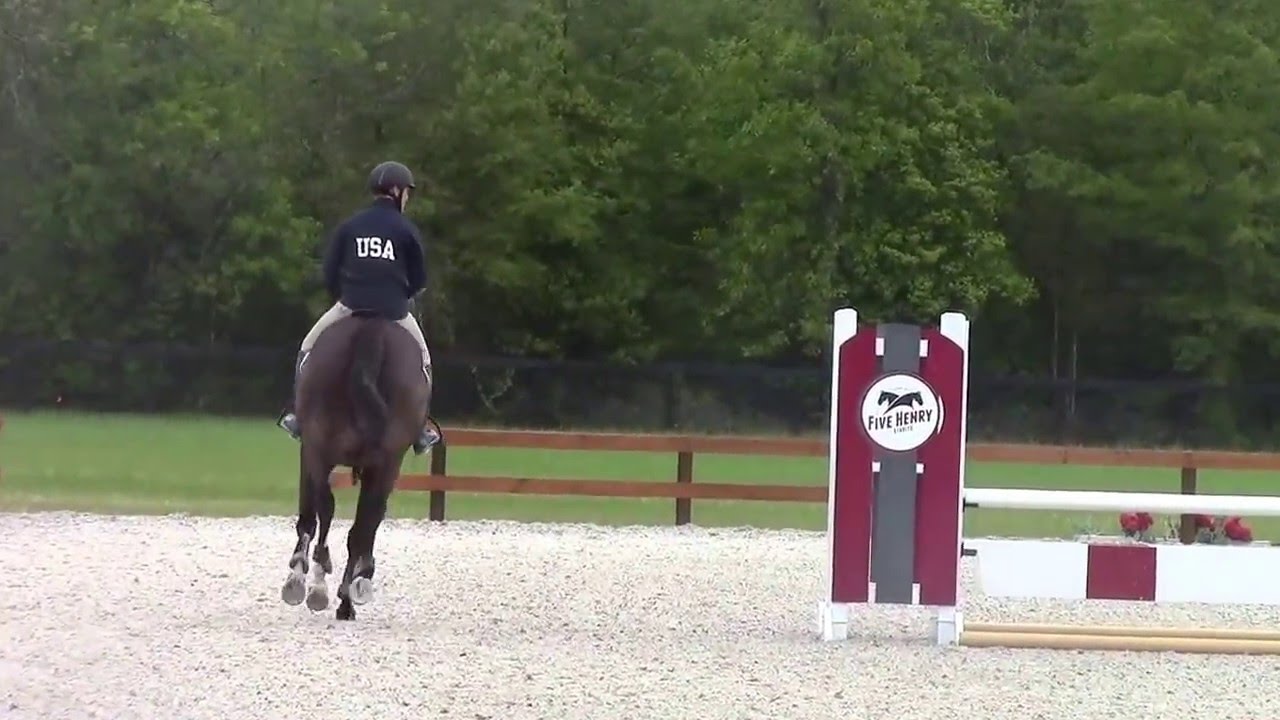 Mclain Ward & Greystone Farm's Fellow