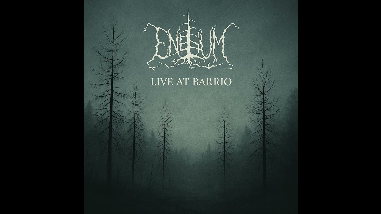 Enisum - Night forest (live 2024 | El Barrio, Torino)