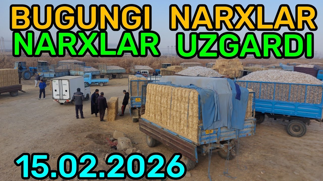 15.02.2026 EM XASHAK SOMON BEDA PRESS NARXLARI QARSHI KARVON MOL BOZORIDA 