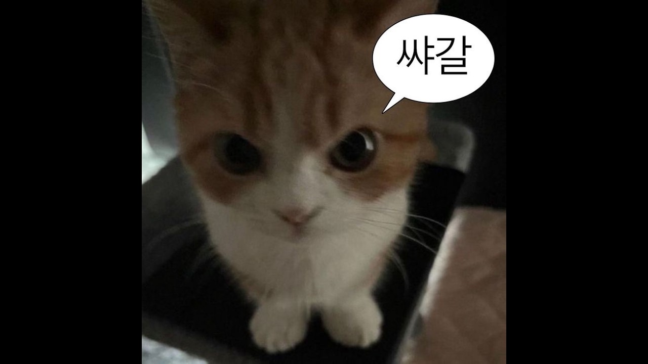 슬럼프 개쌰갈 진짜로