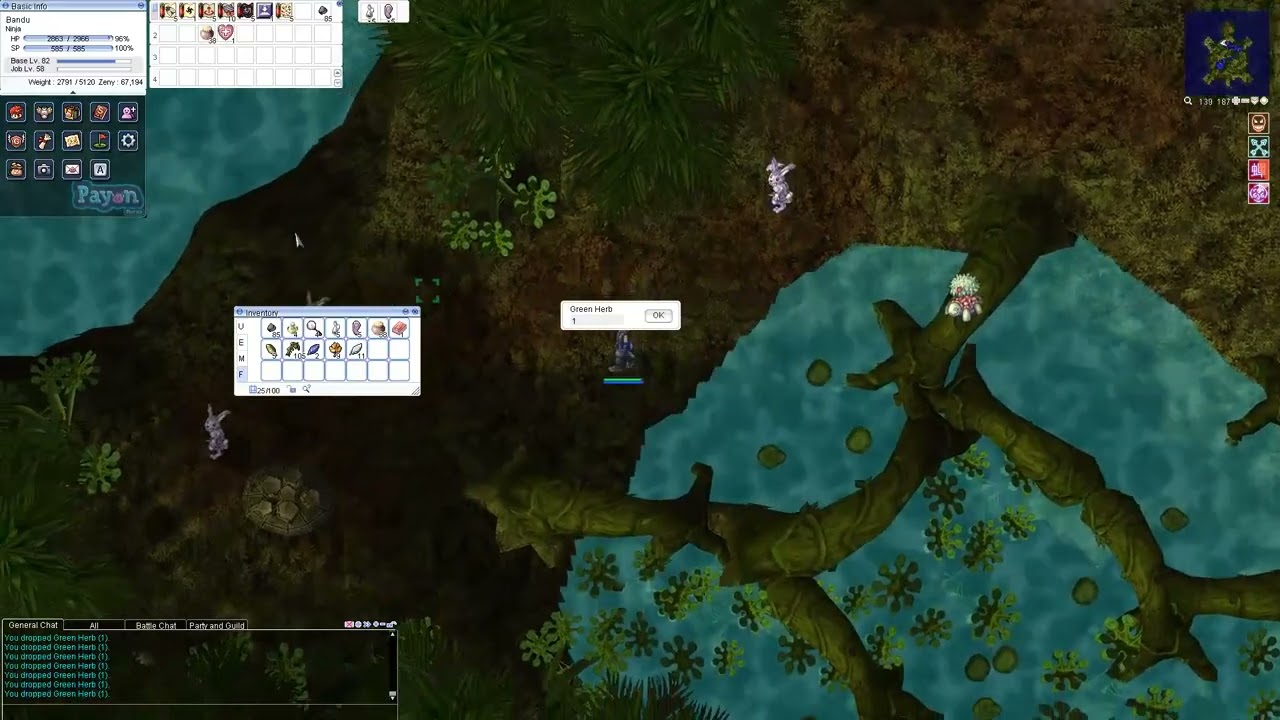 RO Payon Stories - Ninja - Haze Strike rabbits