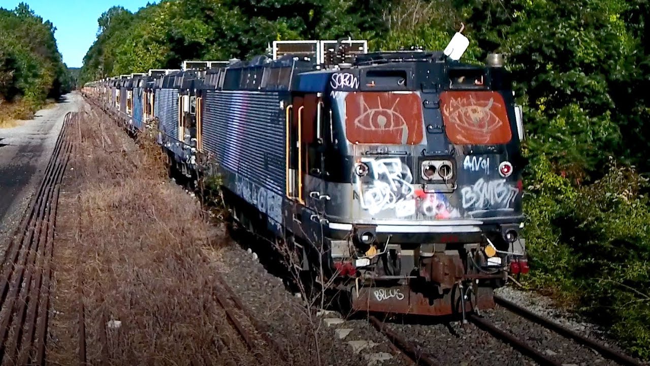 Graffiti-covered NJ Transit trains are slowly rusting in the woods