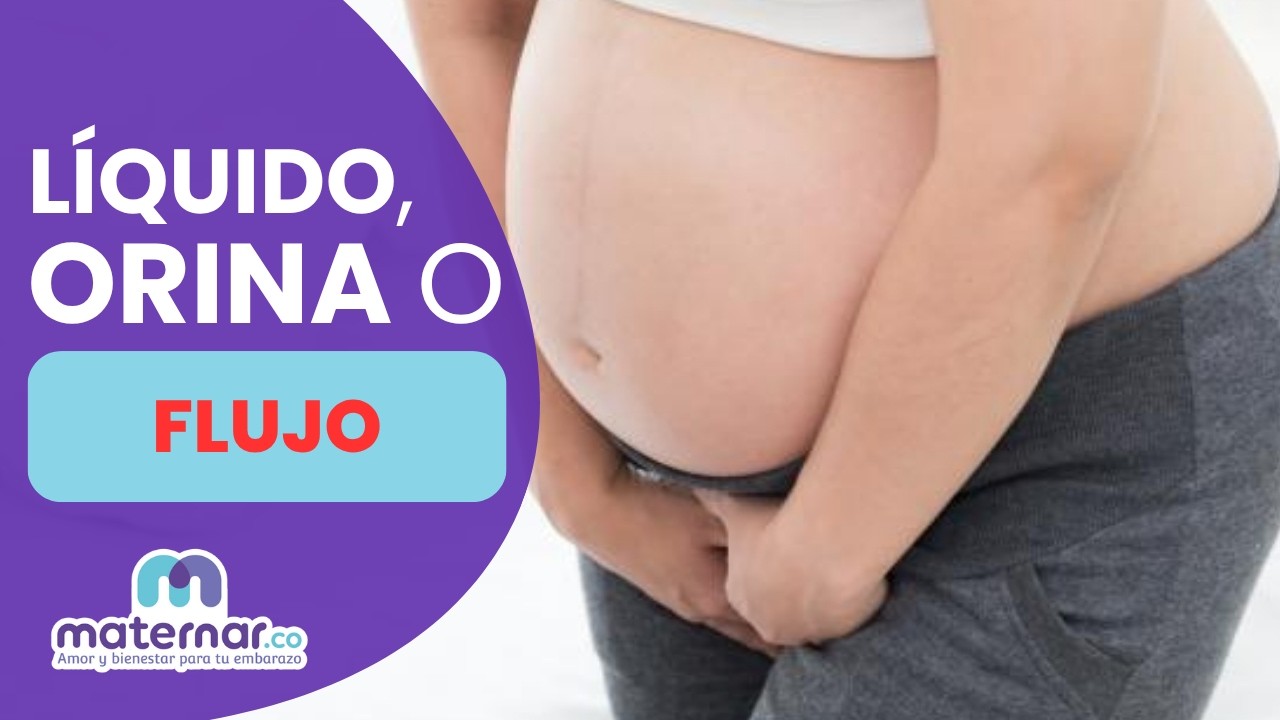 Амниотическая жидкость или просто моча или выделения из влагалища? Вот как это определить 💧 | Mat...