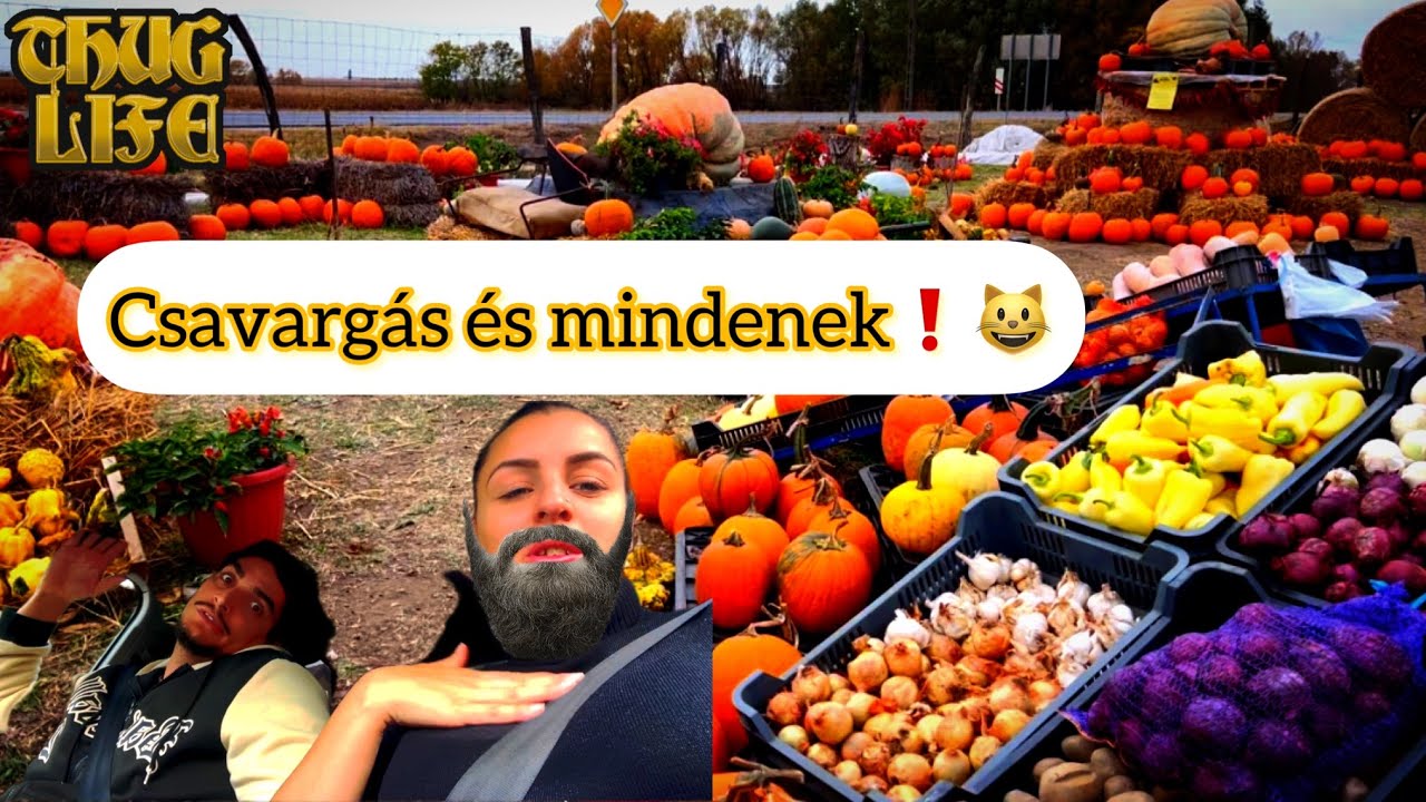Kemál & Kemálné - //Csavargás //🔩😸mindenfele menés 🏃‍♂️☺️