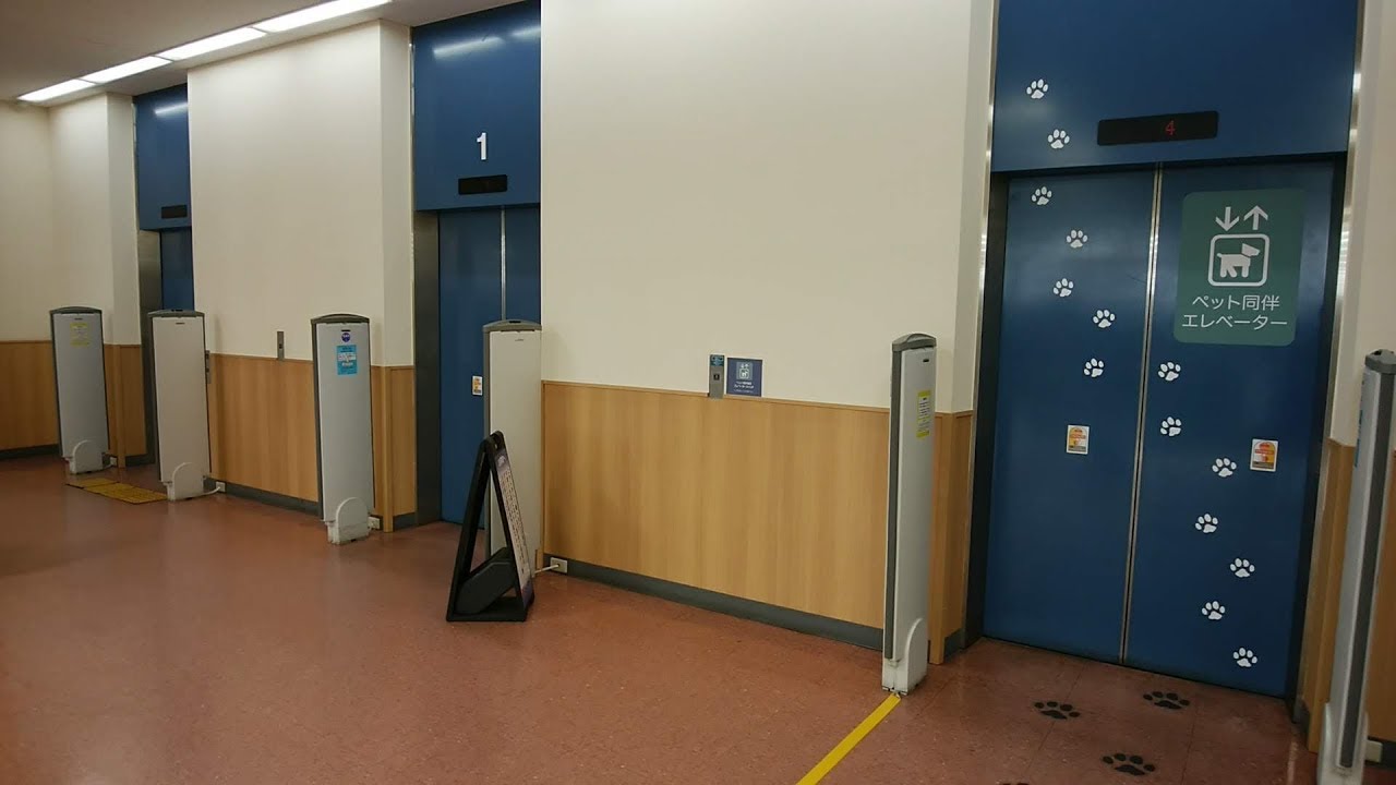 OSC湘南シティのエレベーター（非シースルー側）