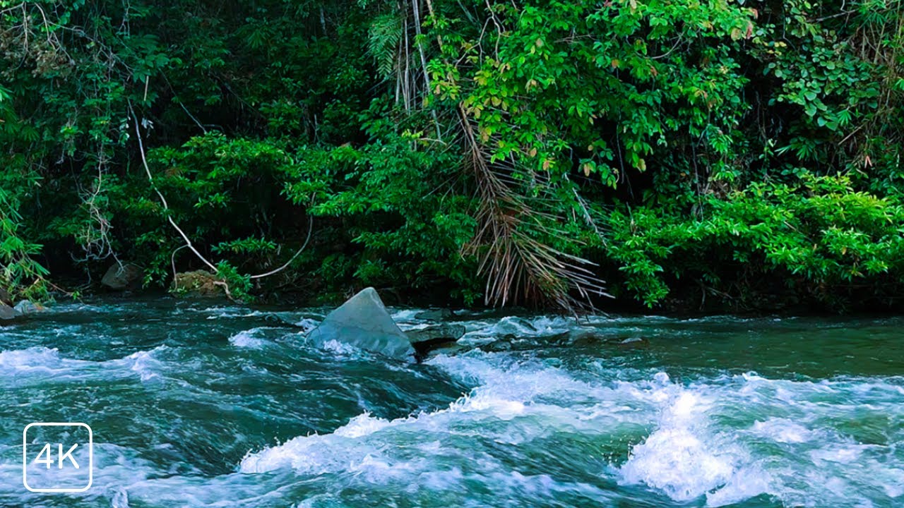 REAL RIVER SOUNDS WITH WIND, CALMING ASMR BACKGROUND FOR FOCUS & PEACE