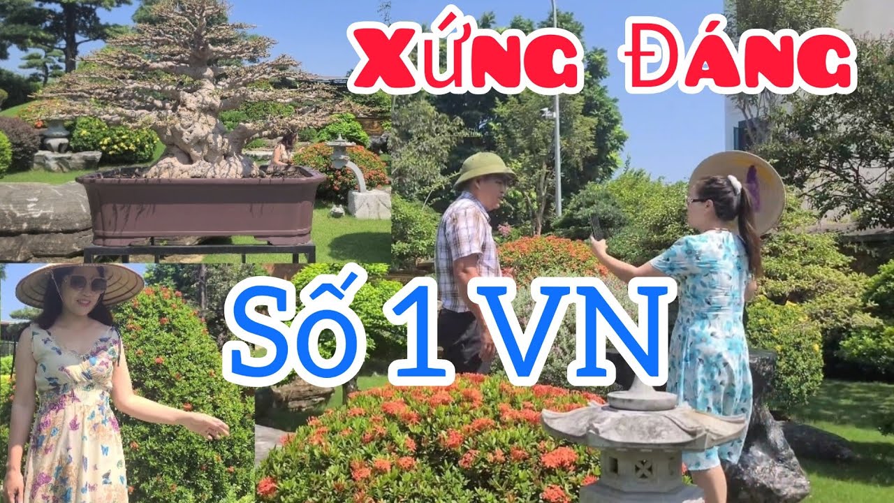 Cả đoàn choáng ngợp với vườn cảnh số 1 Việt Nam. Thực sự đã đến là k muốn về.