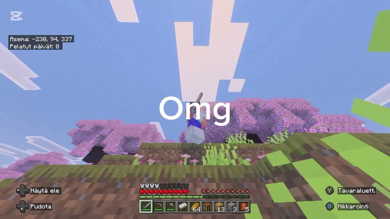 Minecraft video!