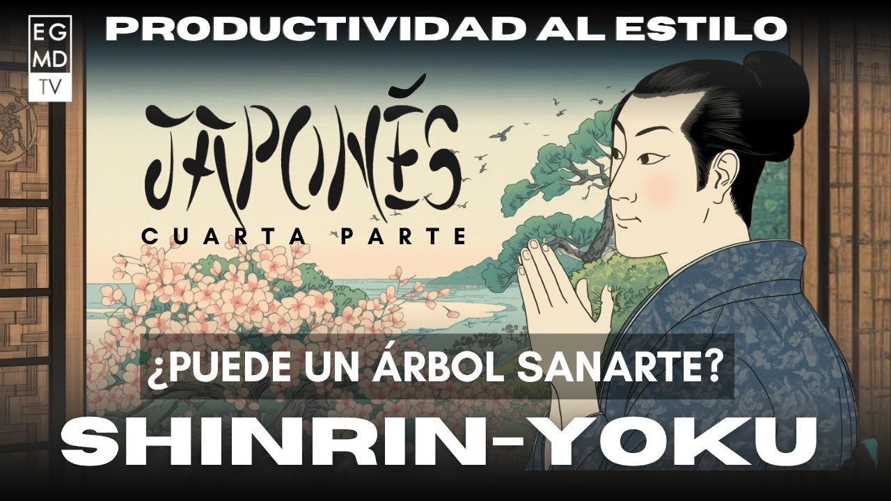 Shinrin‑Yoku: 15 minutos que reducen el estrés y suben tu productividad - 4 de 4