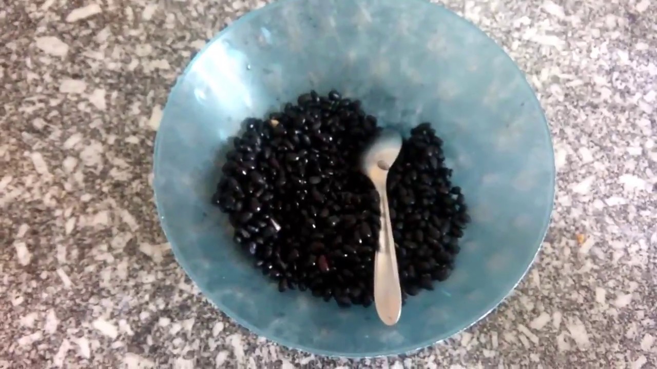 SERÁ POSSÍVEL FAZER TINTA COM FEIJÃO PRETO? CUROSIDADES