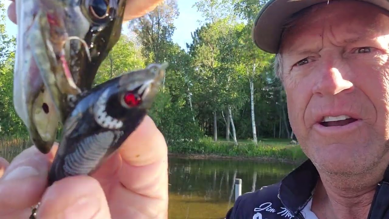 2025 BASS Open - Leech Lake - If Only I Had Fished Like It Was 1991 - 144th/200ish