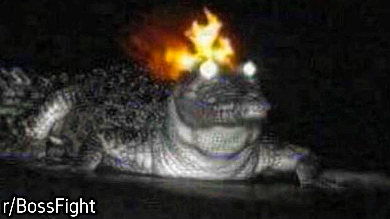 r/BossFight | Florida Got Even More Dangerous
