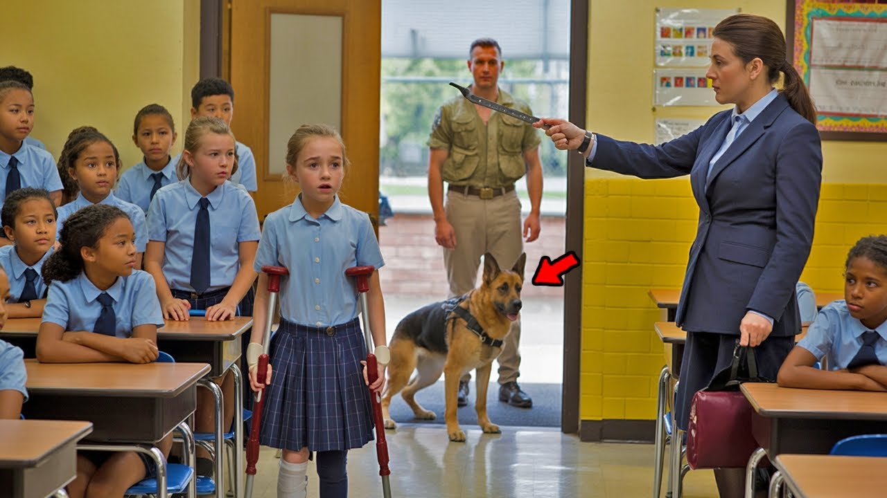 Un veterano e il suo cane vanno a prendere la figlia disabile, ma ciò che trovano li sconvolge