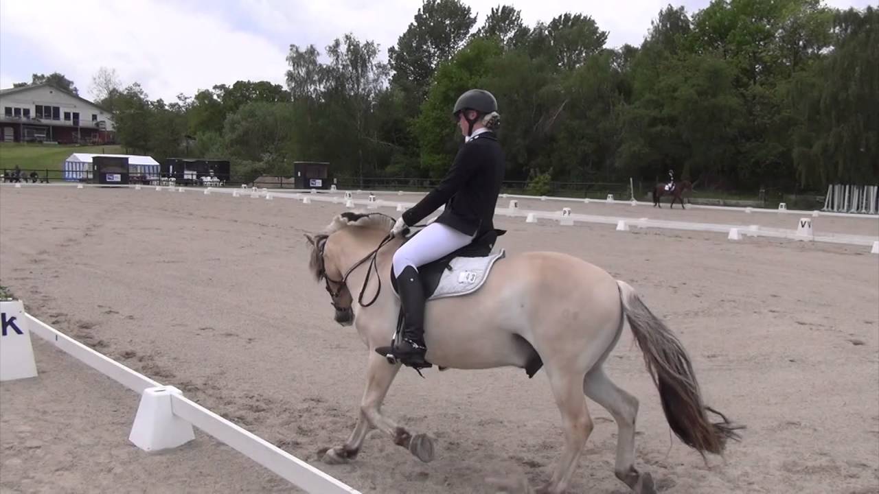 Ballerup Rideklub C-stævne PRI - 60,750 % - Lørdag den 21. maj 2016