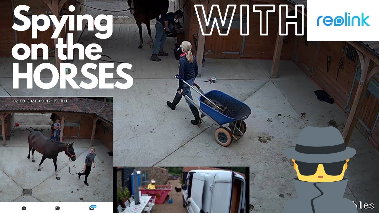 SPYING ON OUR HORSES | ReoLink Security Cameras