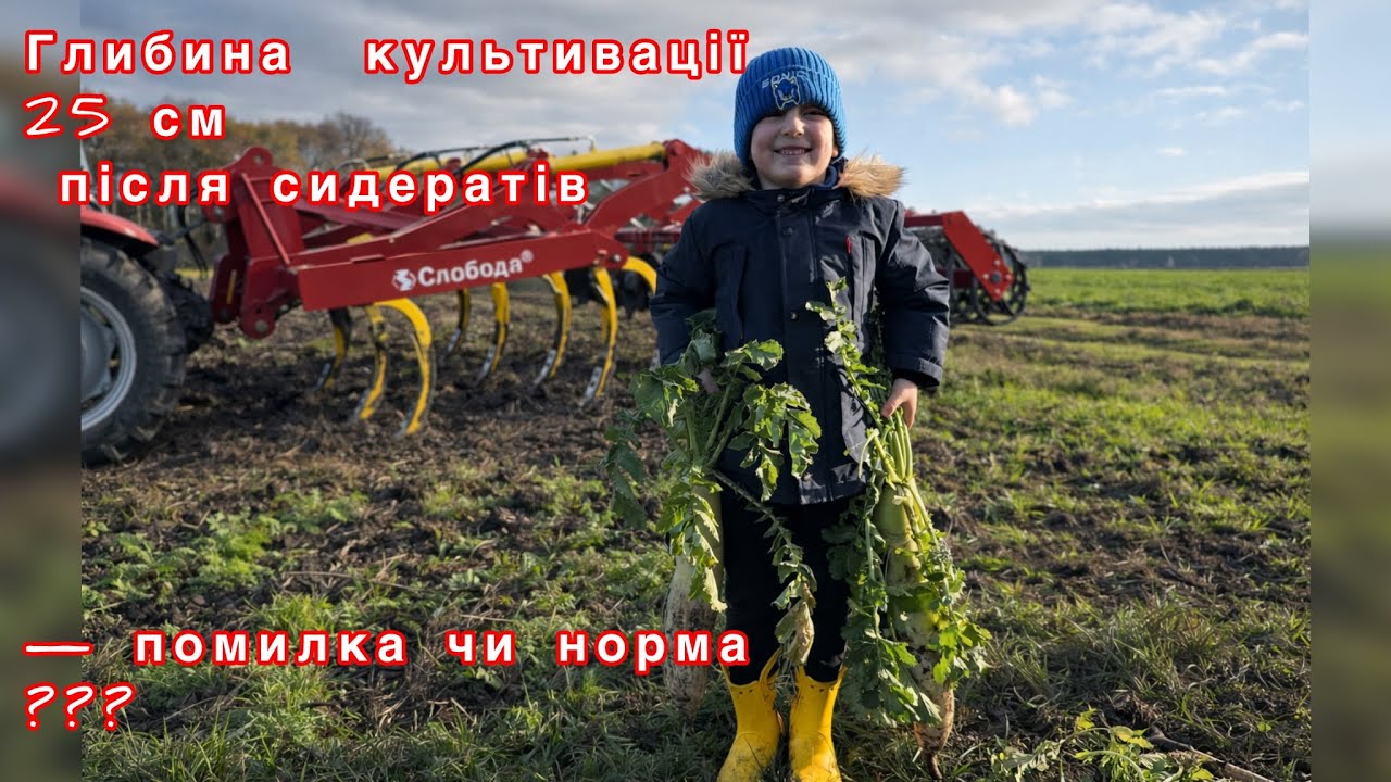 Обробка після сидератів 2025 🌱 Реальнні умови обробки ґрунту Таргетом