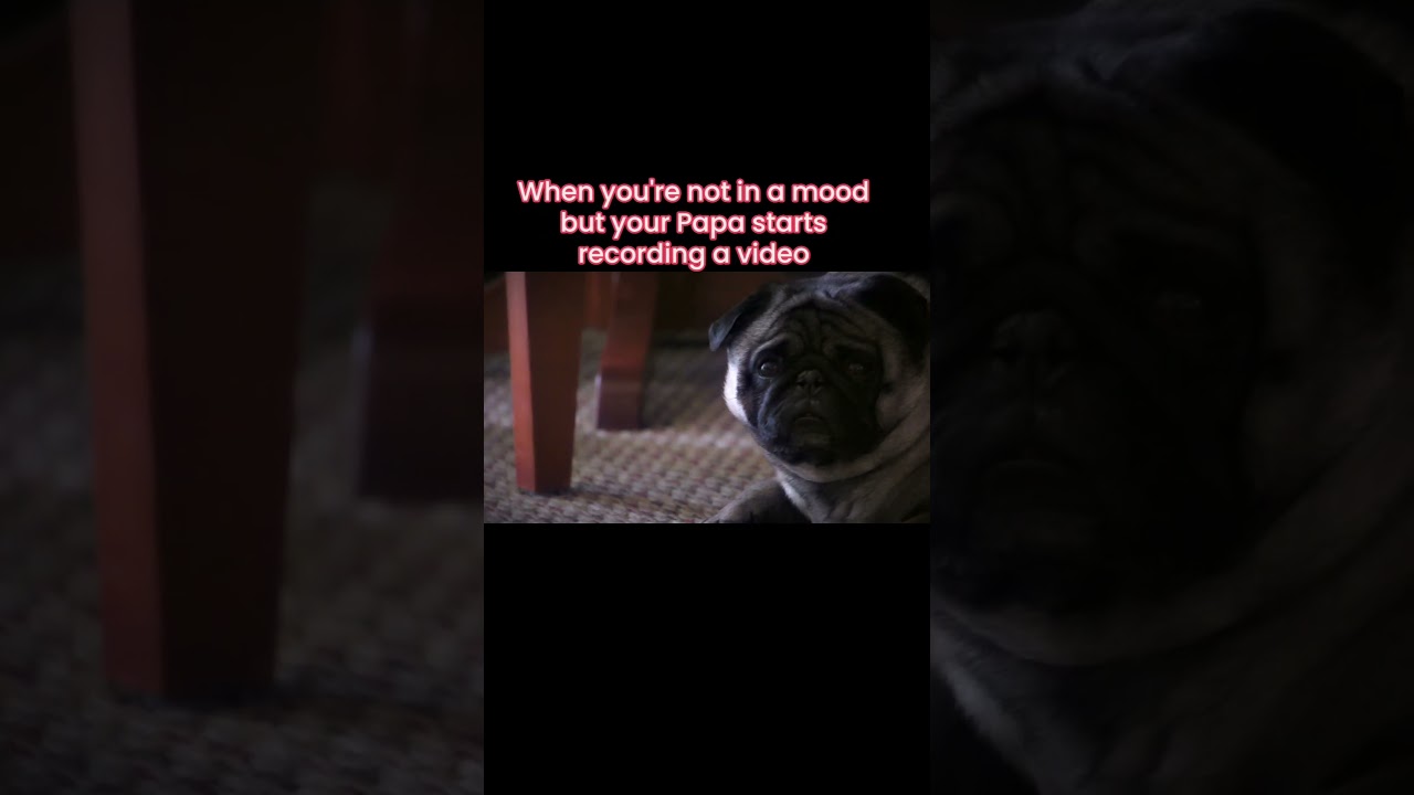 Jacob is not in the mood for video 