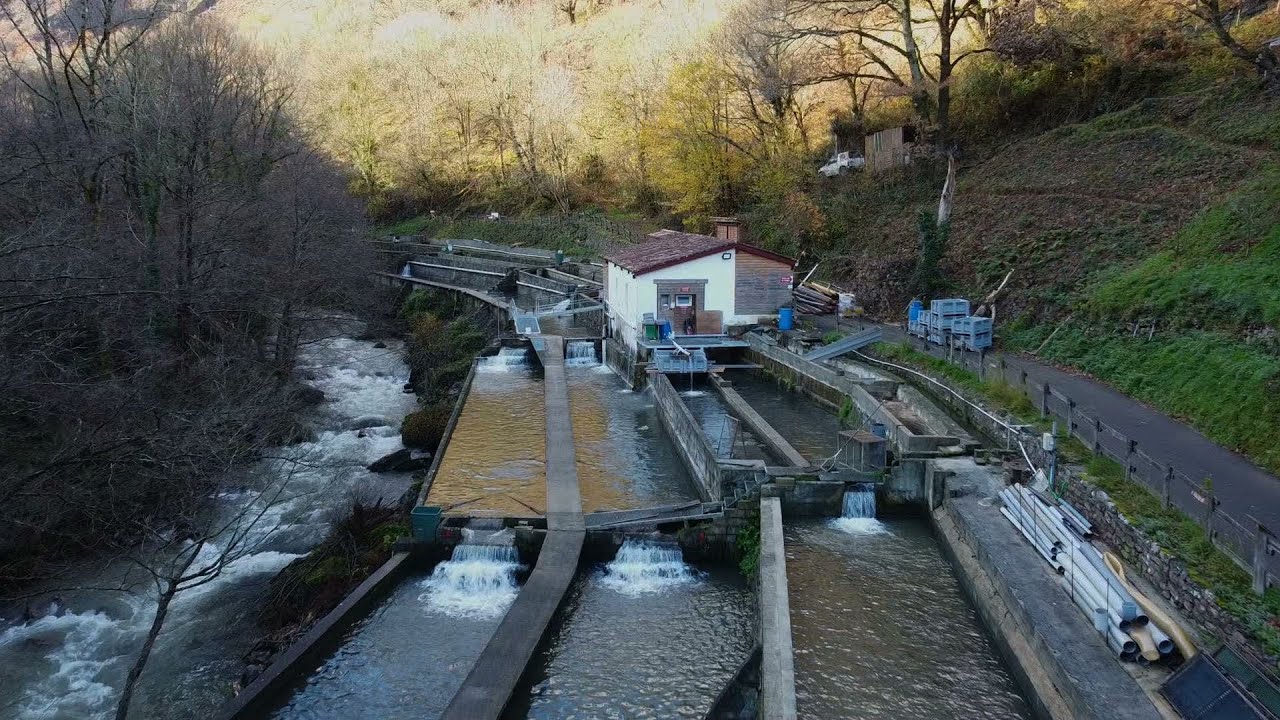 La ferme aquacole de Banka