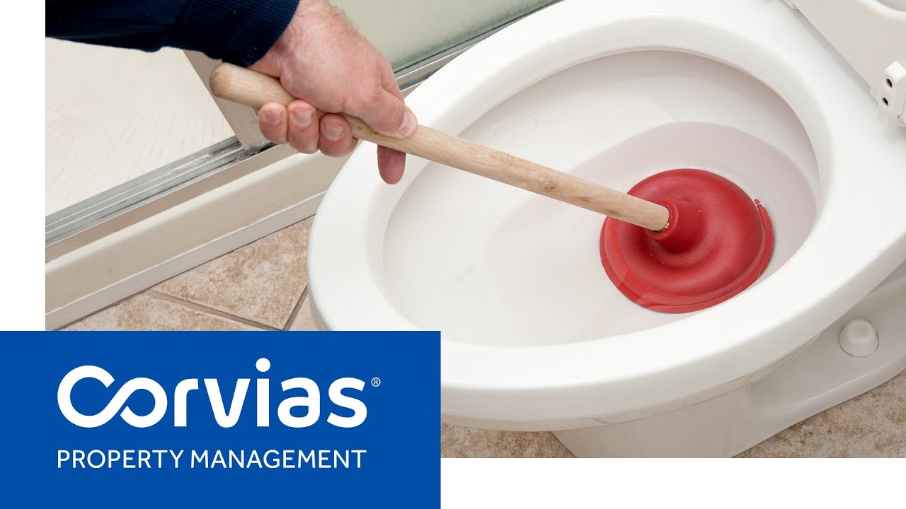 Corvias Maintenance – Sinks and Toilets