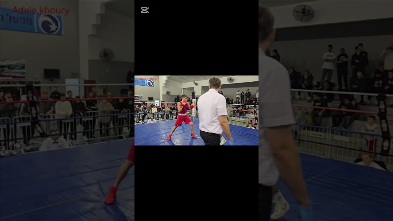 🥊🏆pigor valgeslav VS. Ali shhwan🥊🏆