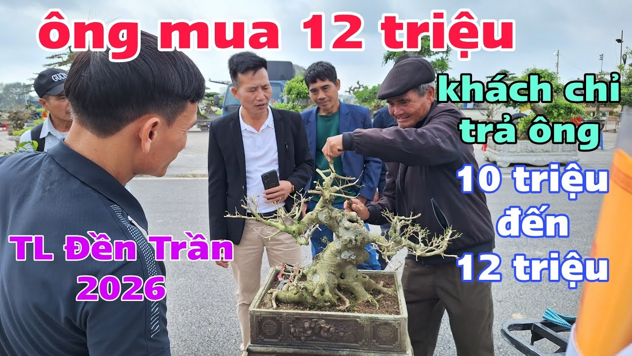 Ông mua 12 triệu - khách chỉ trả ông 10 triệu - TL Đền Trần 2026