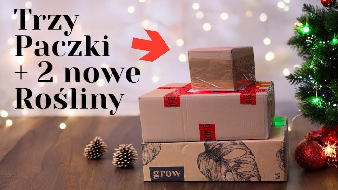 Paczka od @luksor666 i 5 cudownych nowośći roślinnych