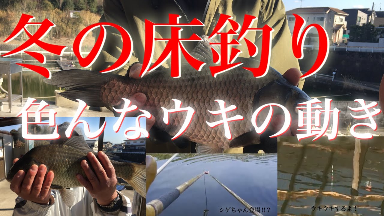 へら釣り【色んなウキの動き】