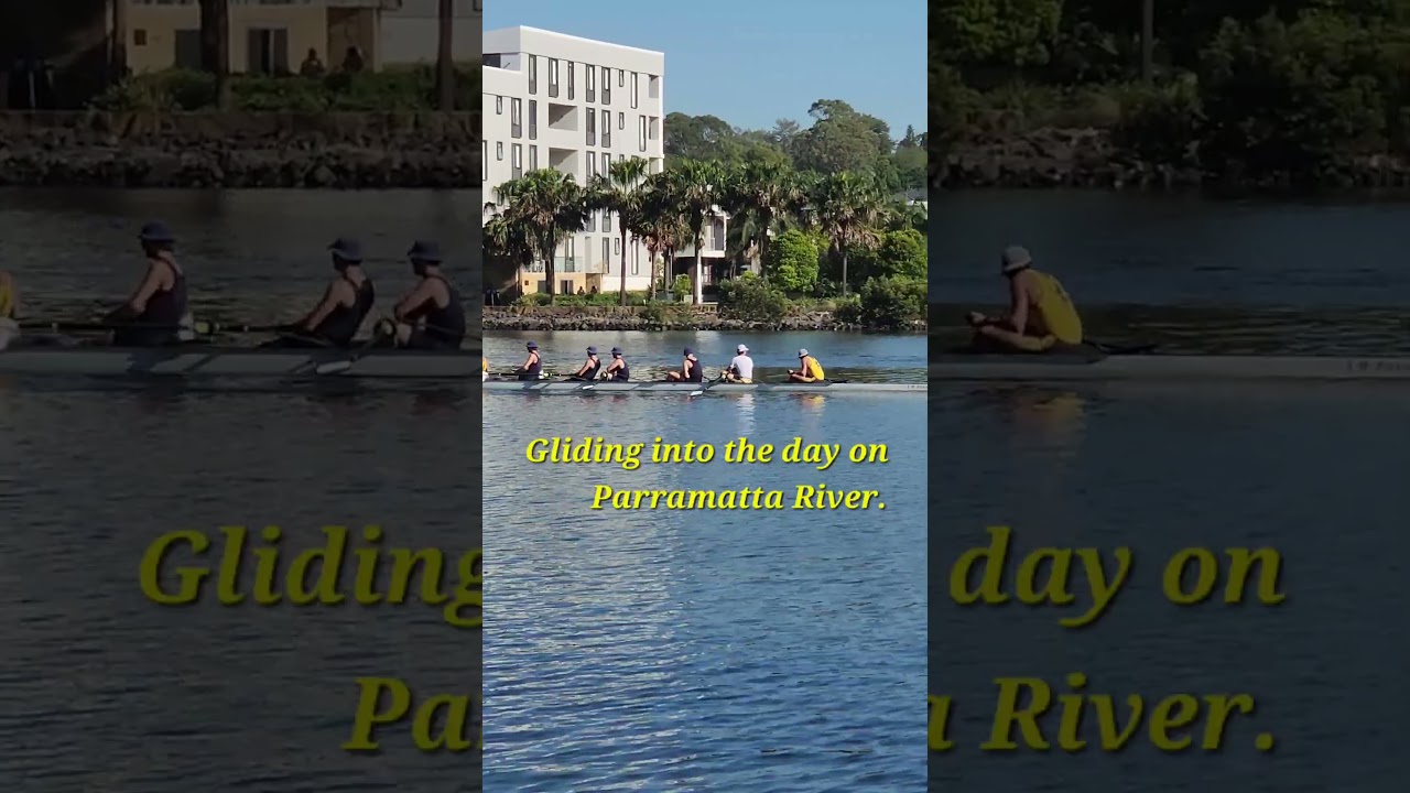 Peaceful morning team rowling on Parramatta river.