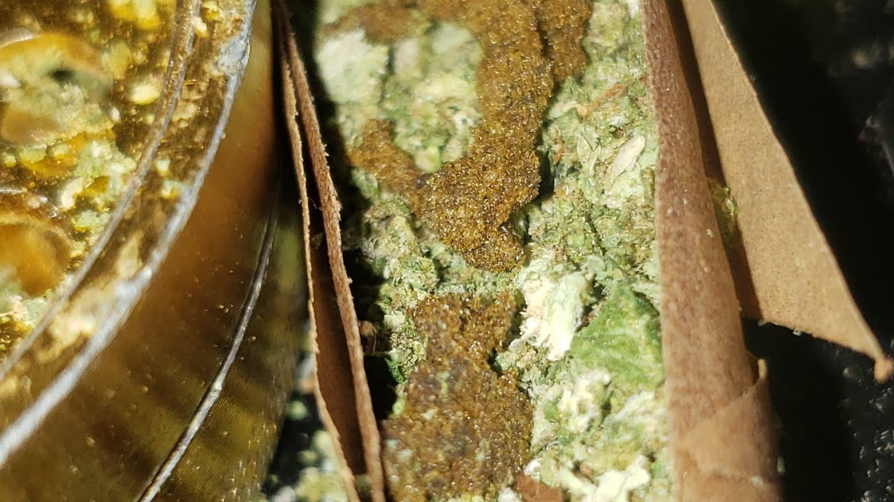 ERRL CUP all you can smoke cannabis event :Episode 6