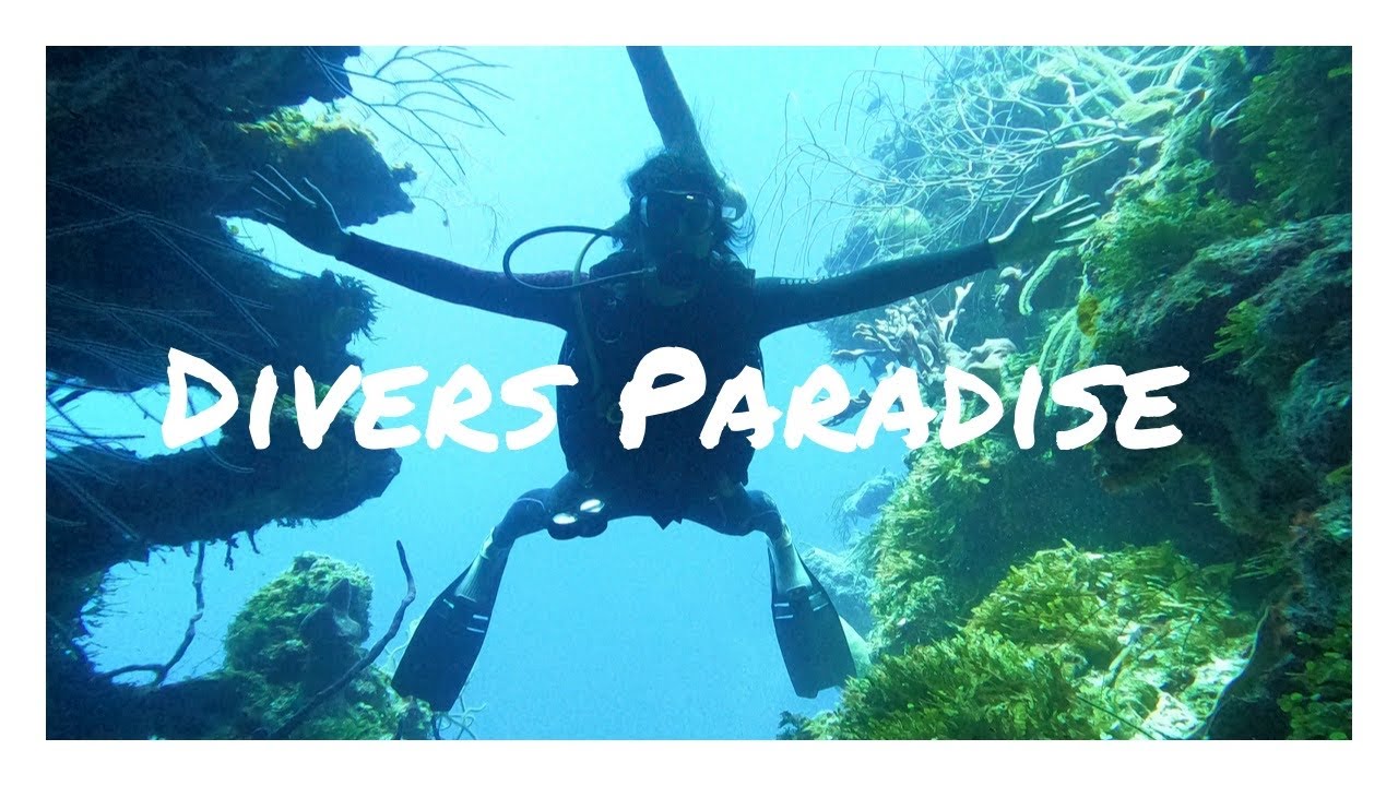 LIFE ON A LIVEABOARD//Part 1 of our Belize Aggressor 3 adventure
