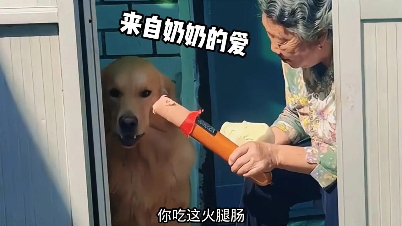 【笑亿天】狗：这个全是添加剂我要吃馒头