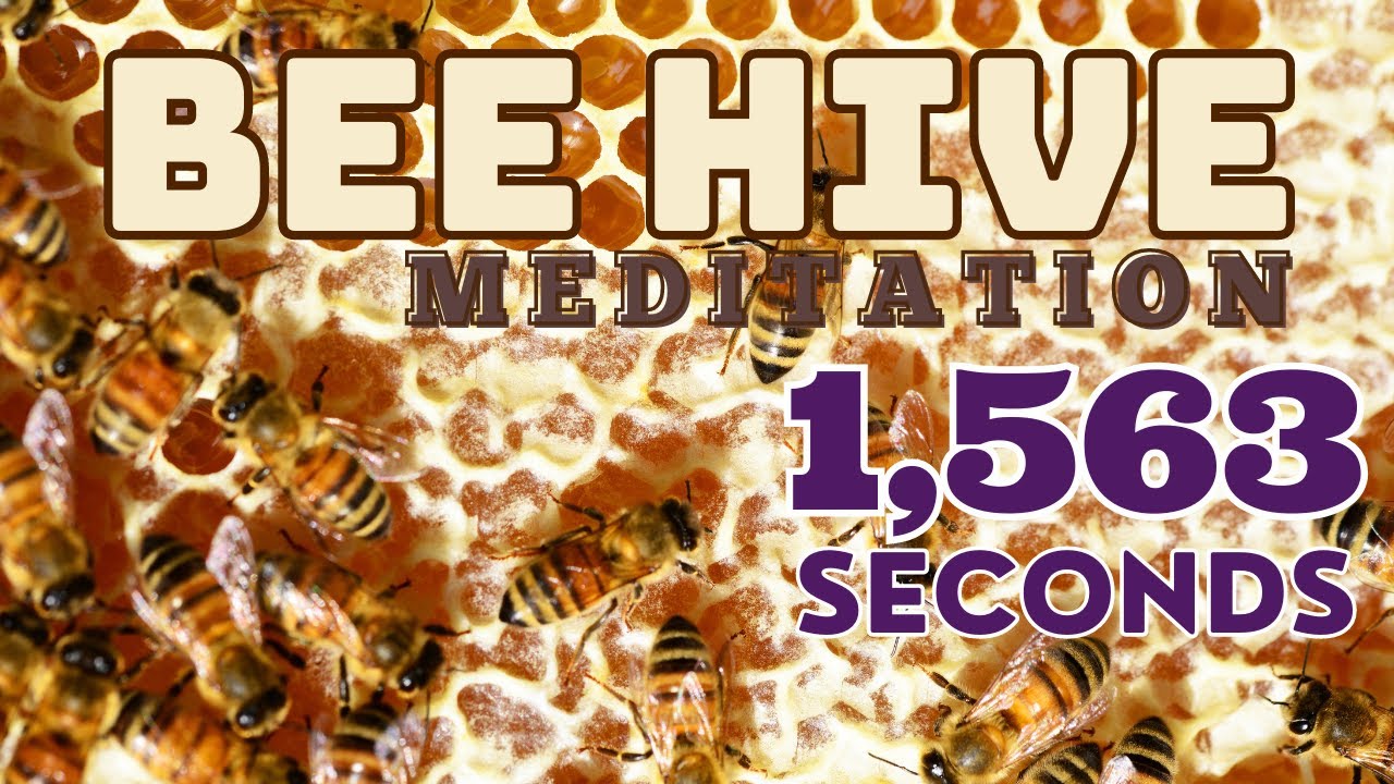 Bee Hive Meditation | 432 Hz | 528 Hz | Moon | Pineal Gland Healing