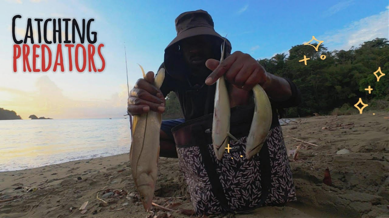 Hook ups, hook spits and more...