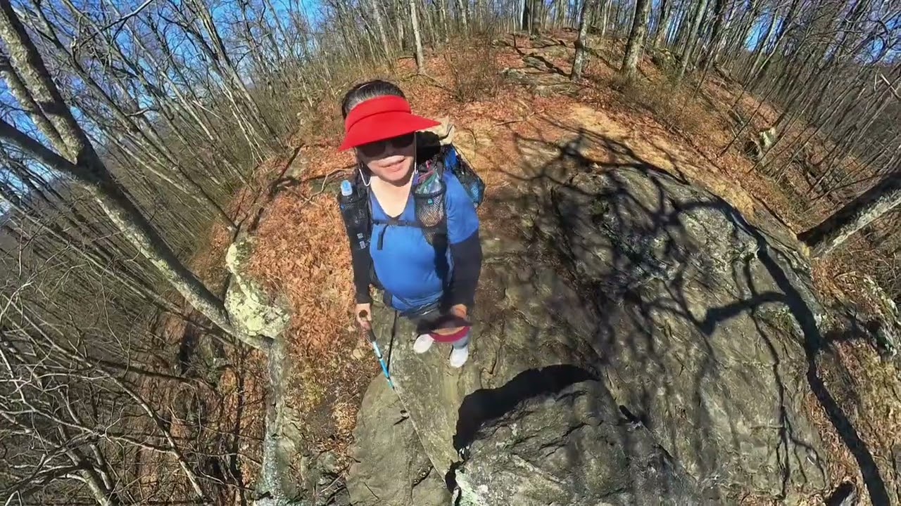 2026 AT Hike #12 | Woody Gap - Gooch Gap | 3.6 Miles | Feb 16 
